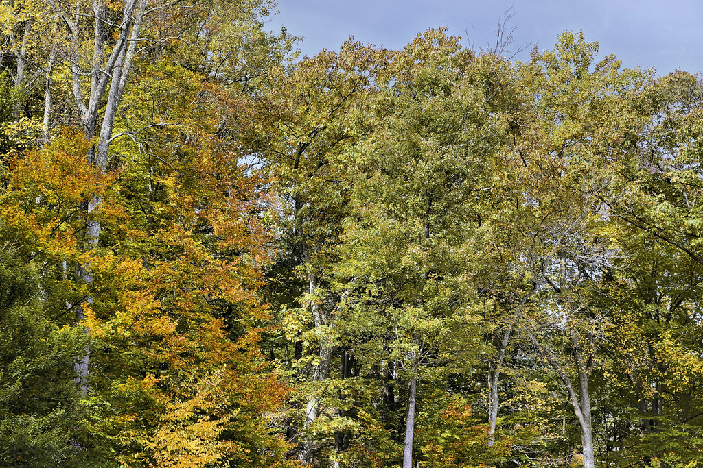 The October Breeze – Cunningham Falls State Park, Thurmont, Maryland