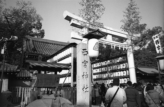 NISHINOMIYA SHRINE 03