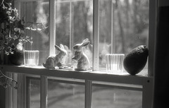 Window Sill