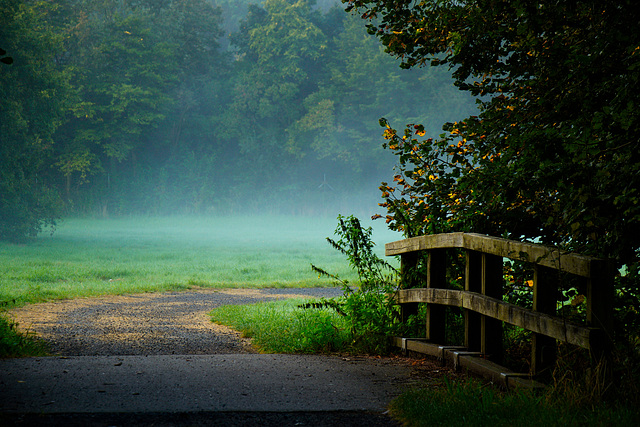 Der Morgen begann herbstlich - HFF!