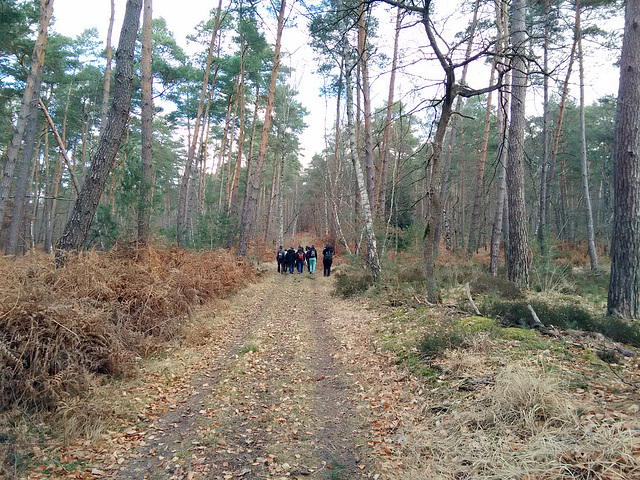 Transhumance du 16 mars 2016