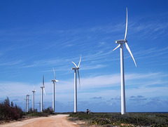 Zone éolienne / Wind turbine area