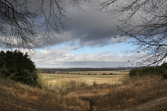 Danebury Iron Age Hillfort