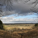 Danebury Iron Age Hillfort