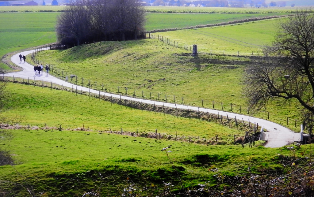 Walk between Fences