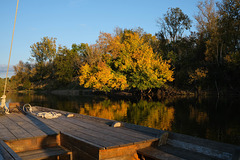 contempler contempler