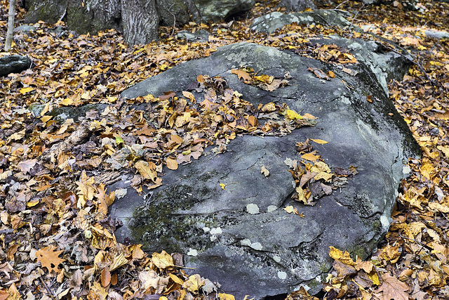 Undercover Operation – Cunningham Falls State Park, Thurmont, Maryland