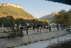 Horses by the lake