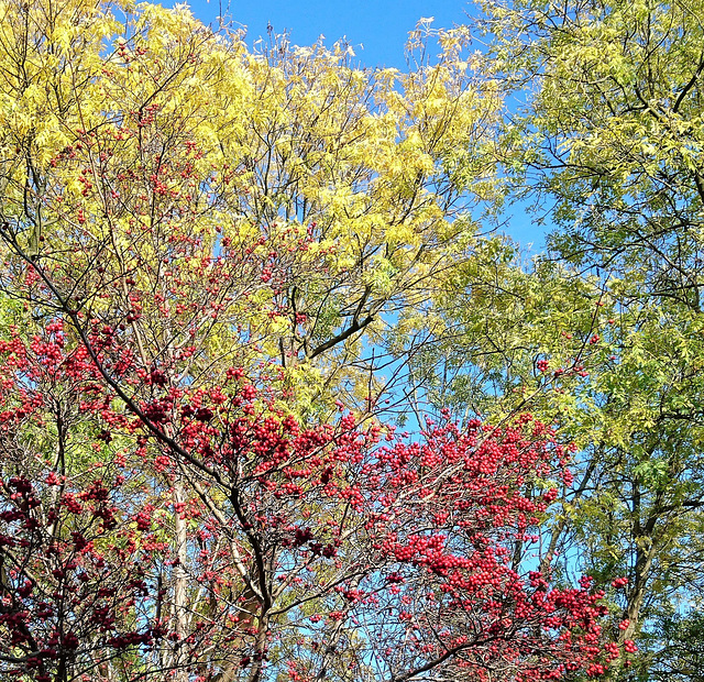 Herbstfarben