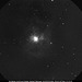 NGC7023/C4 - Iris Nebula