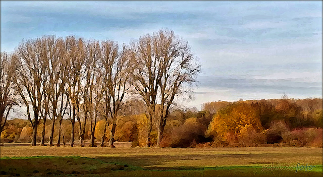 Niederrheinische Landschaft