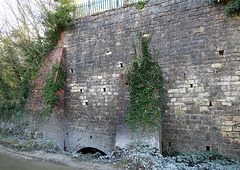 Warmsworth Cliff Quarry