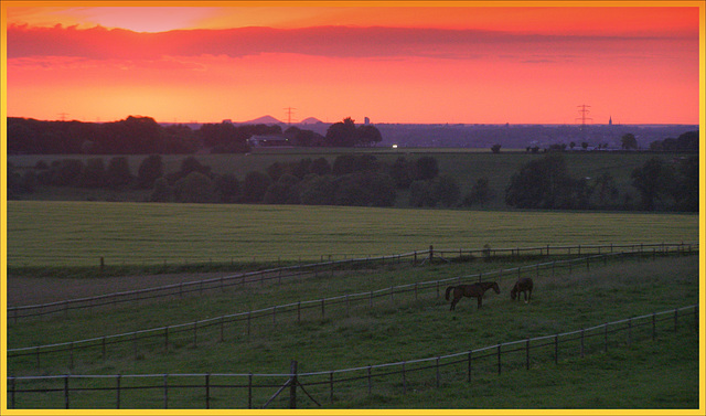 Belgian  Horizon