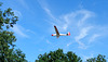 Landeanflug über der Fischbeker Heide