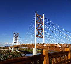 Stroll along the cycle-pedestrian bridge