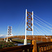 Stroll along the cycle-pedestrian bridge