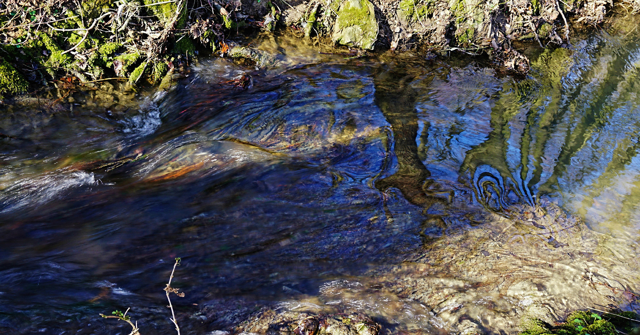 Frühling am Bach - Spring at the Stream