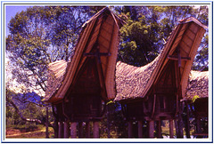 Village Toraja