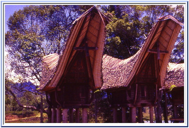 Village Toraja