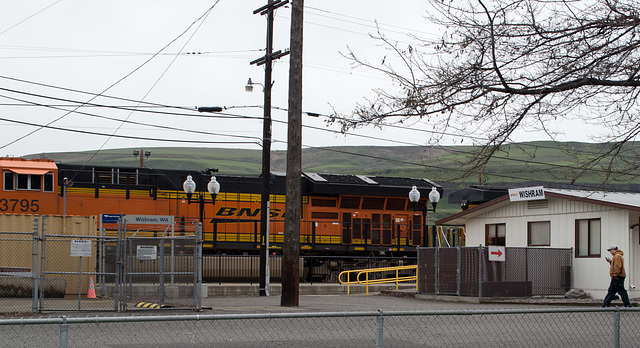 Wishram WA Amtrak (#0446)