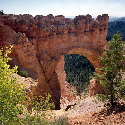 Arch de Bryce