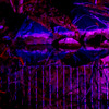 A Fence for Friday