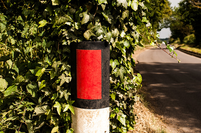 The Road Through Kellaways