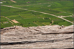 Vino in Vallagarina