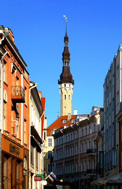 EE - Tallinn - Blick zum Rathausturm