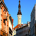 EE - Tallinn - Blick zum Rathausturm