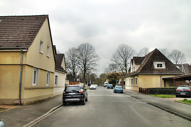 Königgrätzer Straße (Kolonie Kirdorf, Dortmund-Eving) / 4.04.2021