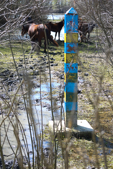 Das Grenzzeichen und die wilde Pferde in Jermakiw-Insel