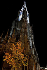 Münsterturm aus Pano-Kopie