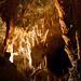 Postojna Caves