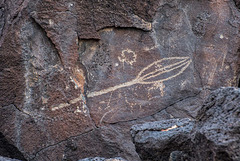 Petroglyph7