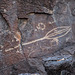 Petroglyph7
