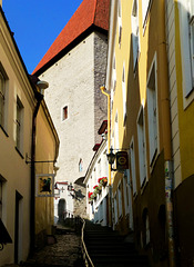 EE - Tallinn - Aufstieg zum Domberg
