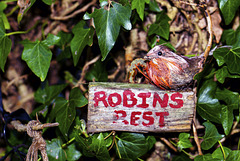 Robin's Rest