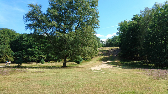 Rodelbahn in der Fischbeker Heide