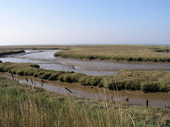 Salt marsh near Walton on the Naze
