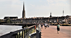 Cycling from Bordeaux Vineyards to the Atlantic Coast /Bordeaux