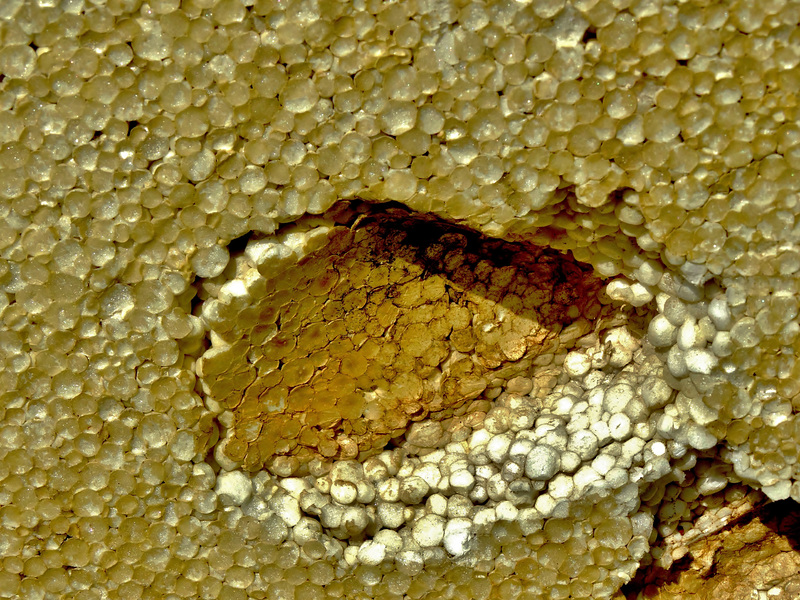 Polystyrene 1
