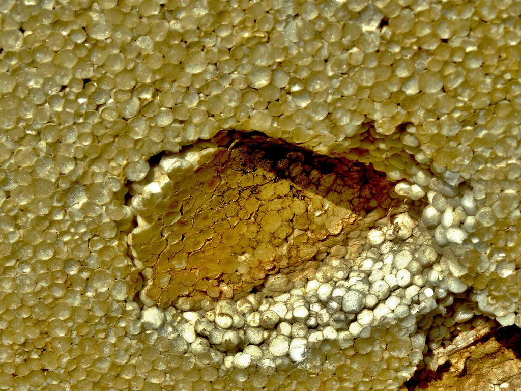 Polystyrene 1
