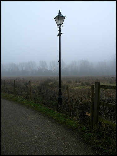 lamp on Marston Path