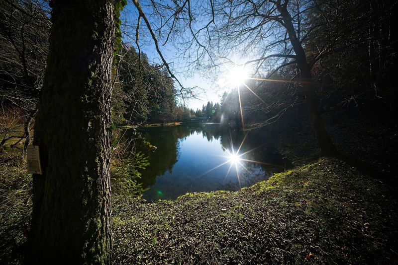 Der Zwergsee am Slow Trailweg Millstatt :))  The Zwergsee on the Slow Trail way Millstatt :))  Le Zwergsee sur le Slow Trail Millstatt :))