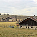 Orchamps-Vennes (25) Hameau de Bonnelin.