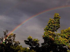 Rainbow for the winner