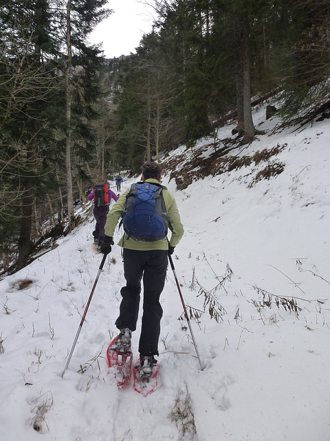 20150101 -03 Raquettes Vercors (99) al