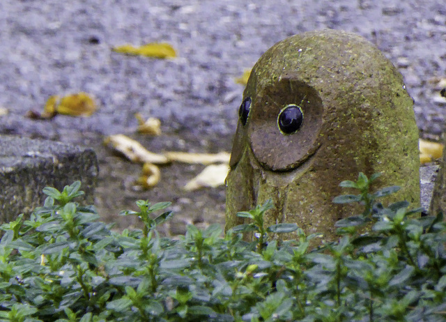 Stone Owl