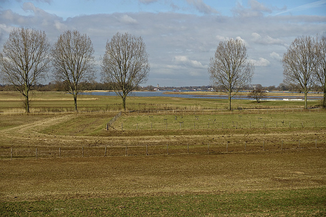 Vergezicht naar Gorinchem